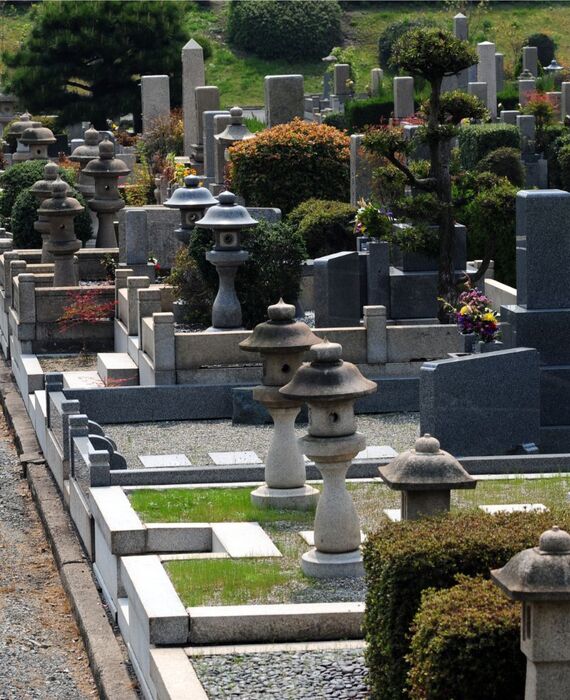 蠅鍋浹雋ｩ螢ｲ15_800px